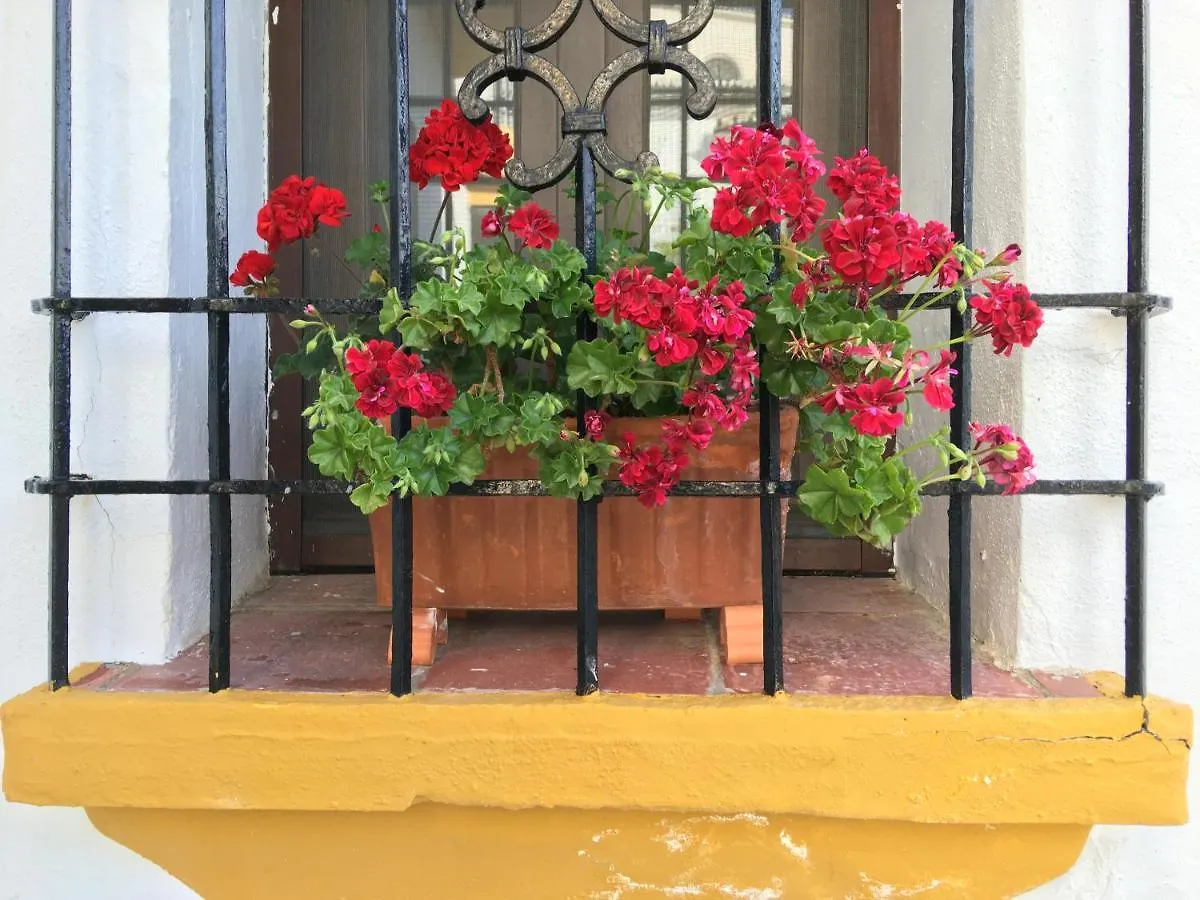 La Escondida Ronda, B&B Ronda